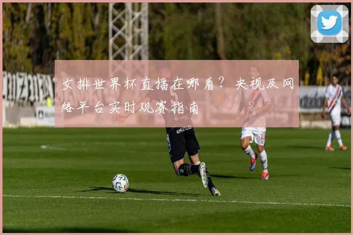 女排世界杯直播在哪看？央视及网络平台实时观赛指南