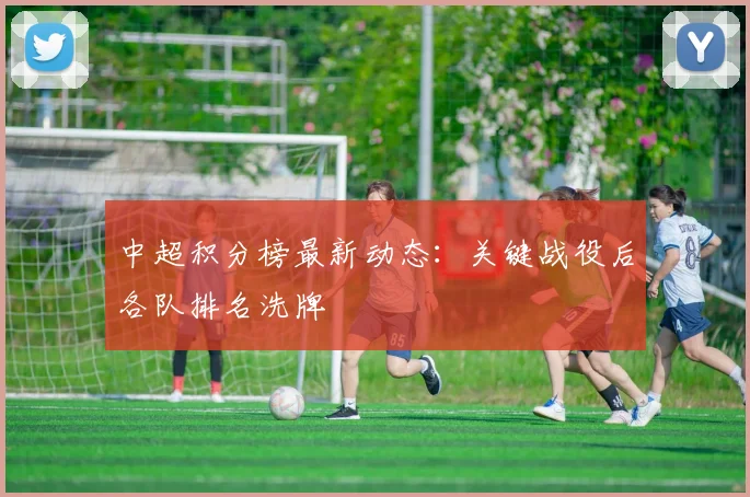 中超积分榜最新动态：关键战役后各队排名洗牌
