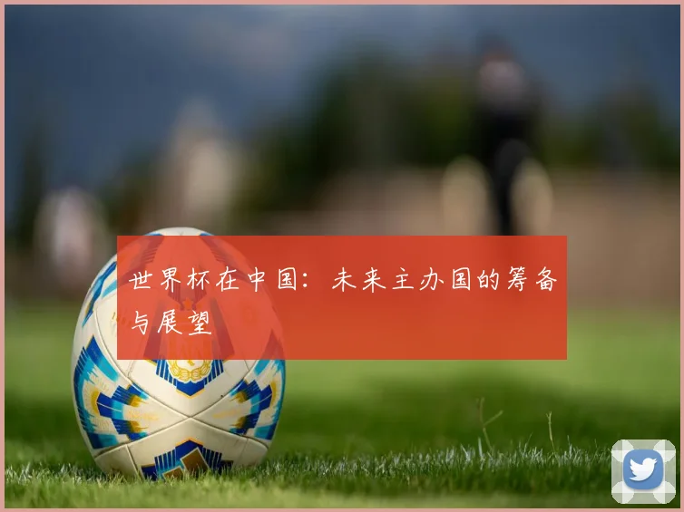 世界杯在中国：未来主办国的筹备与展望