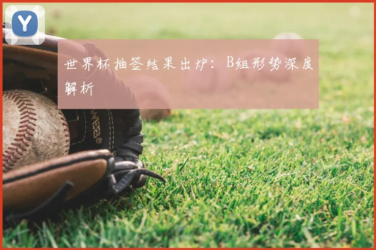 世界杯抽签结果出炉：B组形势深度解析