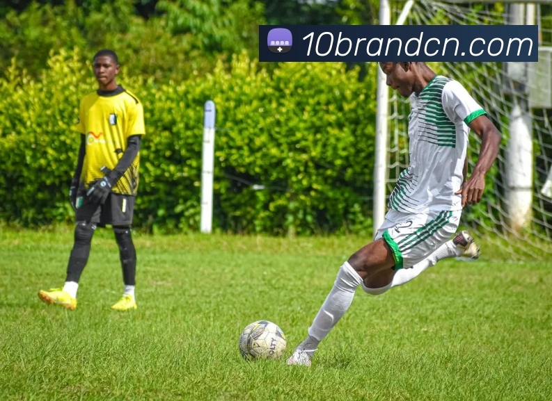 hth体育官网首页APP 高清赛事图